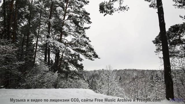 Как можно жить, не видя этой красоты! - National Spark -- Krestovsky -- Song of the Month Club 2018