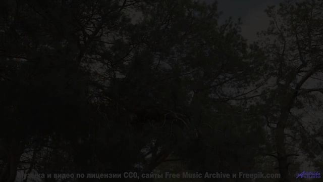 Только попробуй не заслушаться под эти кадры - Inner Healing 2 -- Kirk Osamayo -- Season Two (YELLOW
