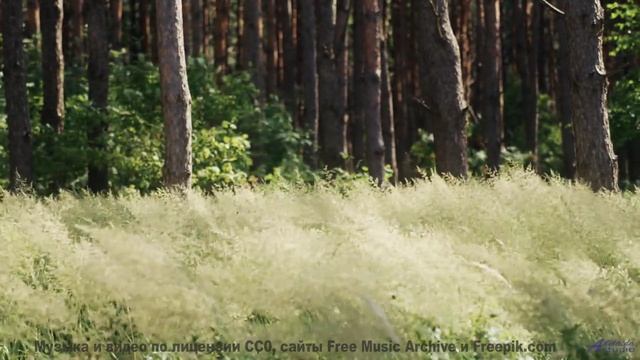 Звуки, используемые для клонирования сознания - это реально - Crystal Boom Persuasion -- Podington B