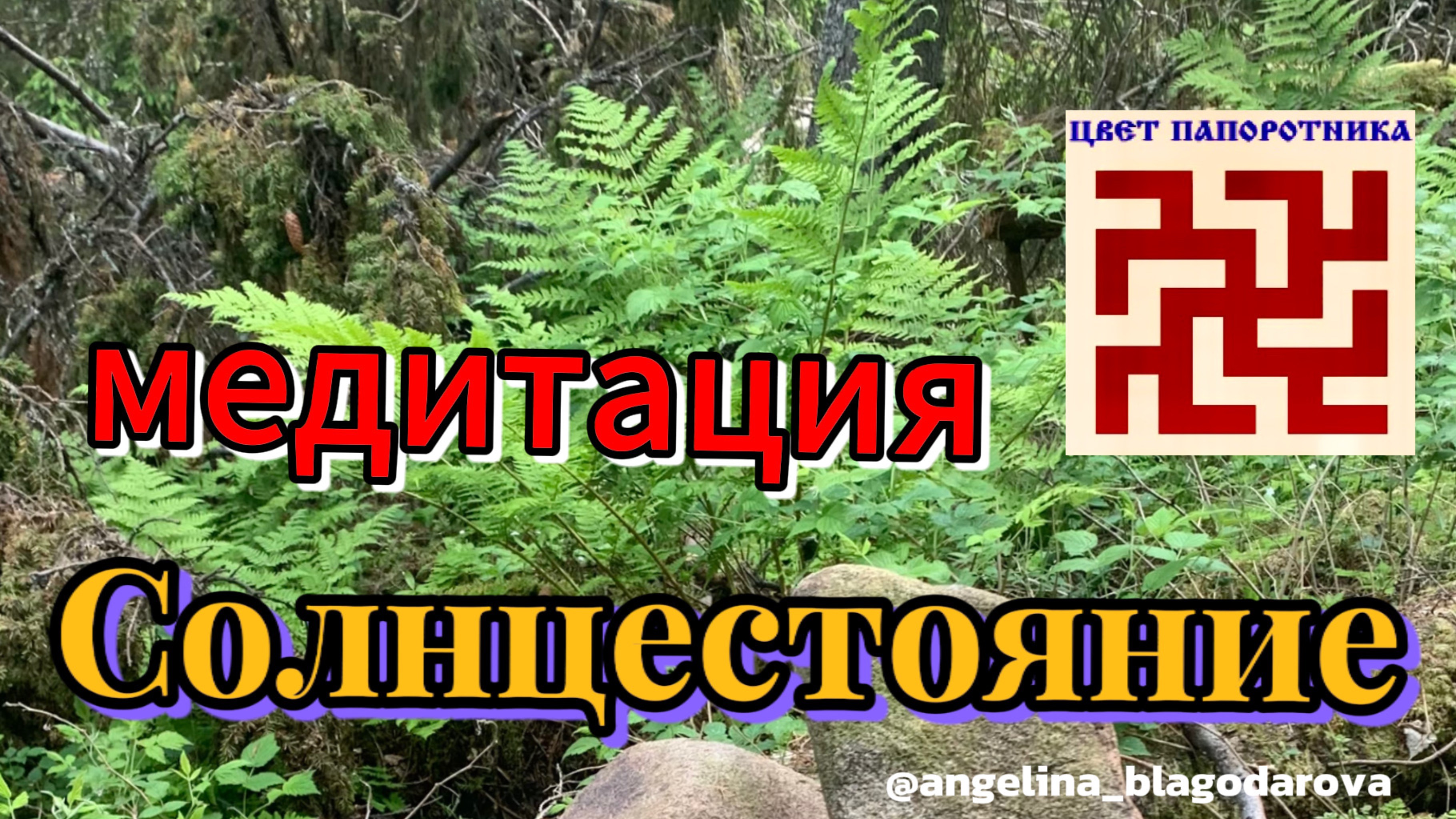 Медитация летнее солнцестояние 💚 цветок папоротника