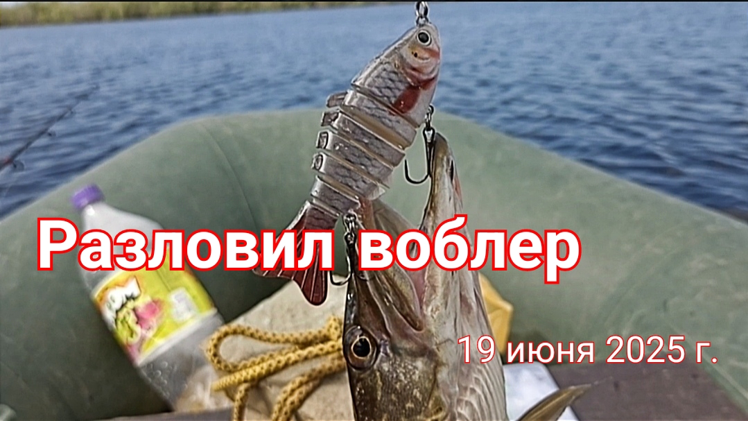 Разловил воблер