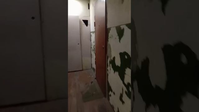 Видео WhatsApp 2025-06-20 в 15.41.28_ac9cac87