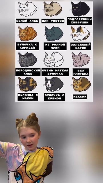 У меня булочка с корицей и очень мягкая булочка 😽а у тебя? #марикалапунова #кот #котик #милыйкот