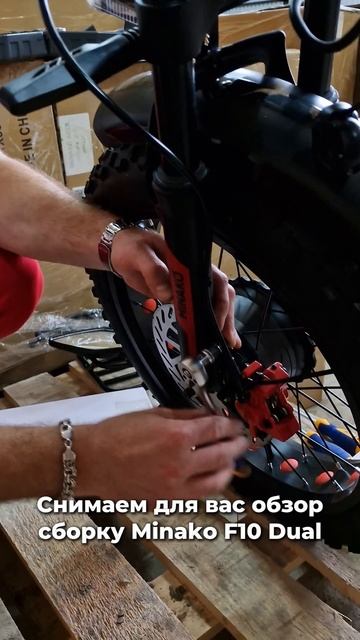 Minako F10 Dual: закулисье сборки