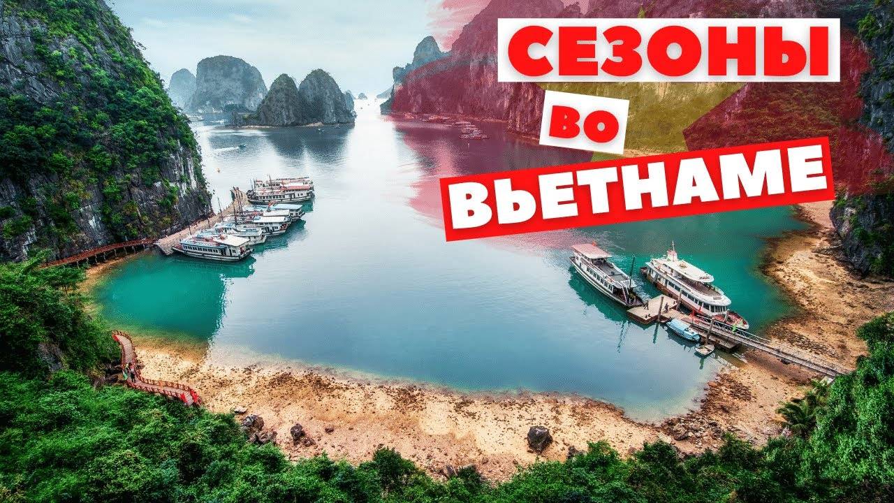 Идеальный месяц для путешествия во Вьетнам: отдых дешевле любых туров!