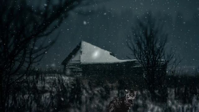"Верь мне кот"- рассказ. Автор Тагир Нурмухаметов.