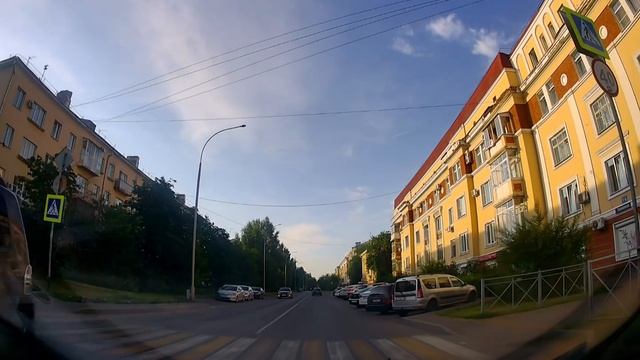 Голубь на зебре.