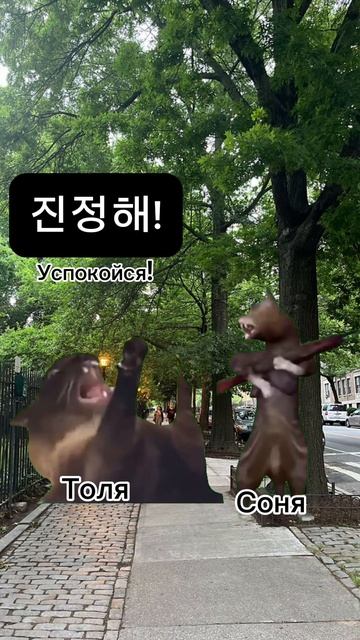 고 나서 
"서울대 한국어" 2A 5과 어디에 가면 좋을까요?