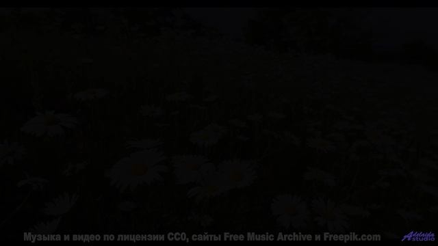 Музыка ведёт туда, где кончаются заботы - Above The Clouds -- Kirk Osamayo -- Season Two (PURPLE)