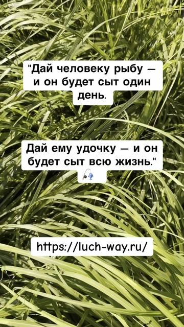 Инвестиция в себя