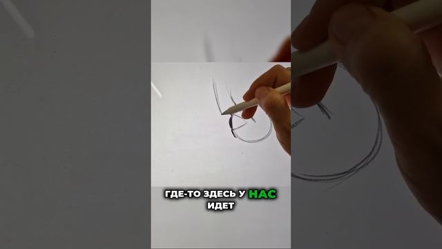 Самое тёмное место на лице: анатомия глазами мастера #перманентныймакияж #анатомия #татуаж #пм