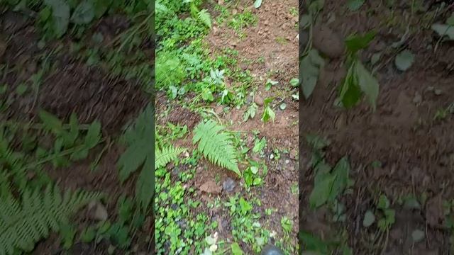 1000017890.mp4