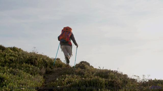 Звуки, используемые для клонирования сознания - это реально - Rekindle -- Ketsa -- The New World