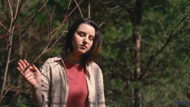 Леса и саунд рождают внутри новый мир - Sandbox Jingle -- Scott Holmes Music -- Music for TV + Film