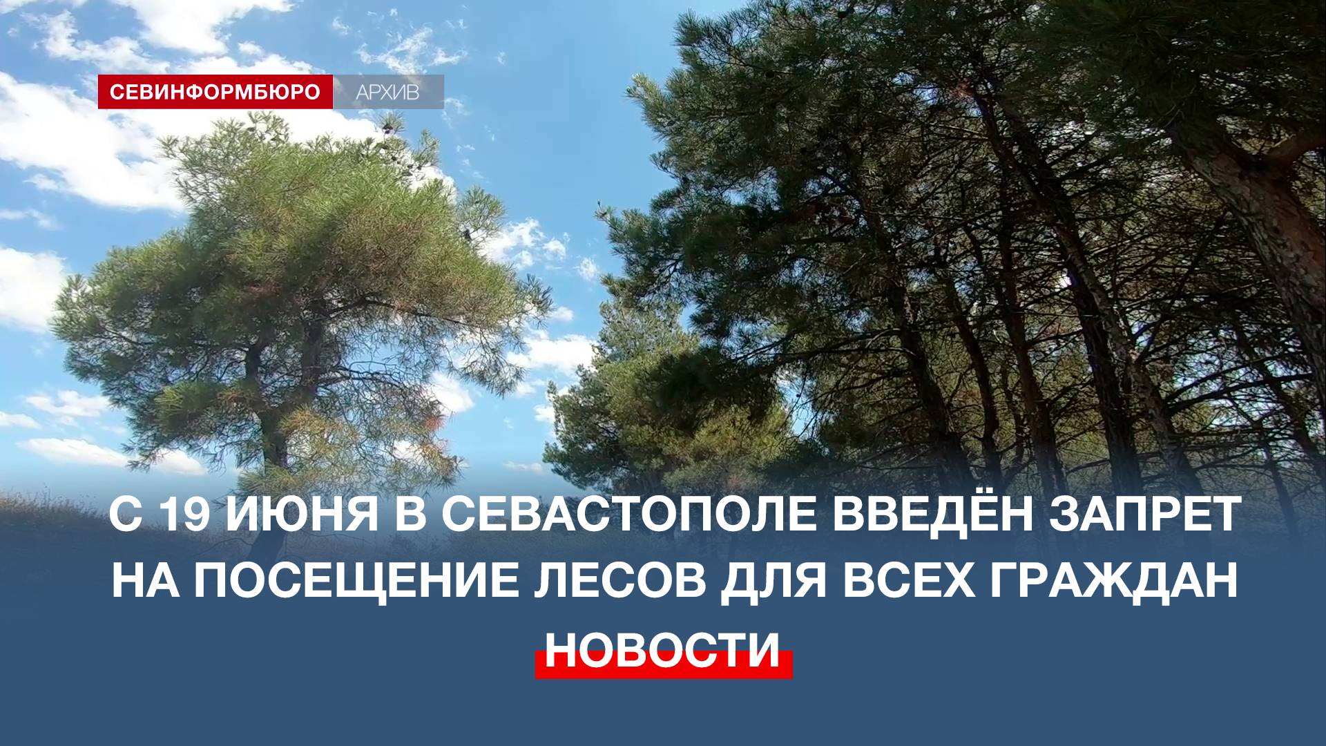 С 19 июня в Севастополе введён запрет на посещение лесов