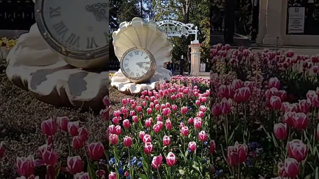 video_20210329_161400.mp4 Сочи