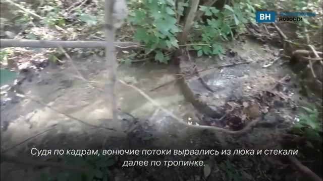 Канализационный водопад показал читатель ВН