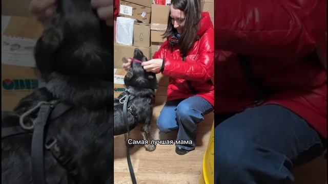 Одри Дома🏡