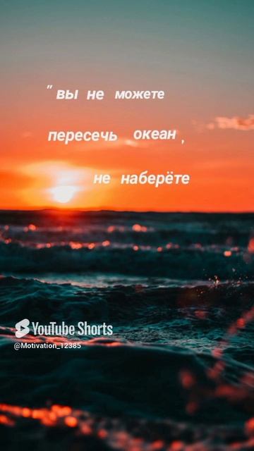 Цитата#196 «Вы не можете» #цитата #motivation #shorts