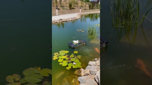 Река Гераон🌊