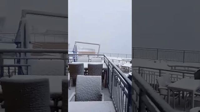 Вы такого ещё не видели
