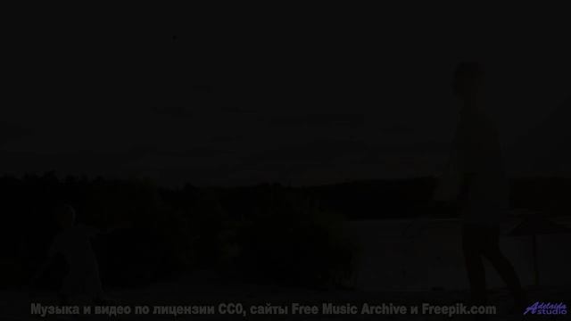 Почему в этом лесу нет птиц - Admin -- A. A. Aalto -- The West