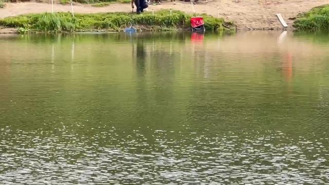 1000090208.mp4