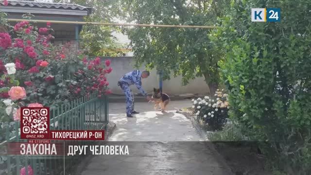 В Краснодарском крае 21 июня отметят День кинолога