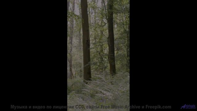 Поля и мелодия проникают под кожу мгновенно - Life And Times -- Chad Crouch -- Motion