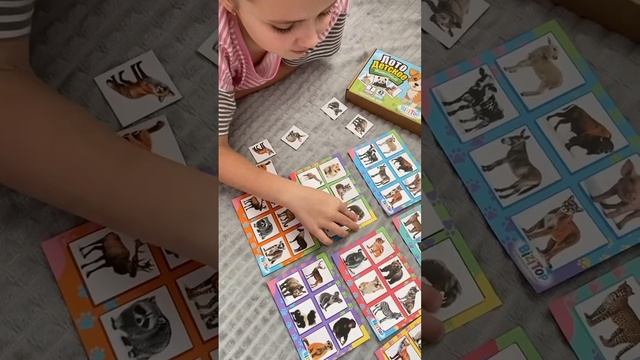 BiziTop — это мир умных игрушек из натурального дерева! 🌳