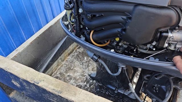 Yamaha F30 (1010615)