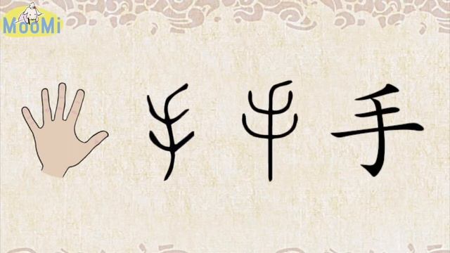 Chinese Character Evolution and Strokes汉字演变+笔画 ｜手shou ⧸ hand