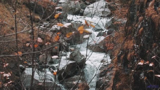 Это видео сотрёт все проблемы из головы - Celestial Dance -- Siddhartha -- Fragments of Light