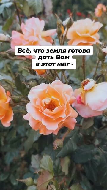 Заземление практика.