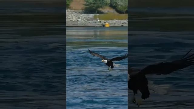 VID_20250620_041952_581.mp4