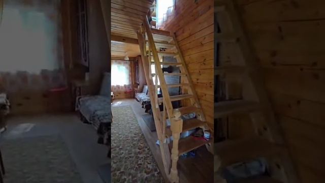 1000109626.mp4