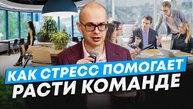 Руководителю о стрессе: почему его нельзя избегать полностью
