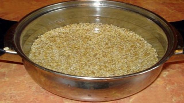 Грибовница из белых грибов