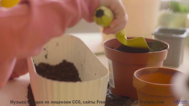 Глаза цепляются за кадры, уши ловят каждый аккорд - Solitaire -- Nihilore -- Best of 2020-2024