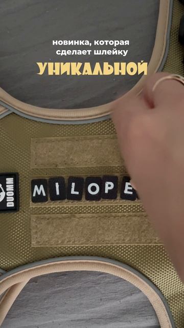 Набор нашивок с буквами от MiloPets - это идеальный способ персонализировать шлейку питомца 🔥