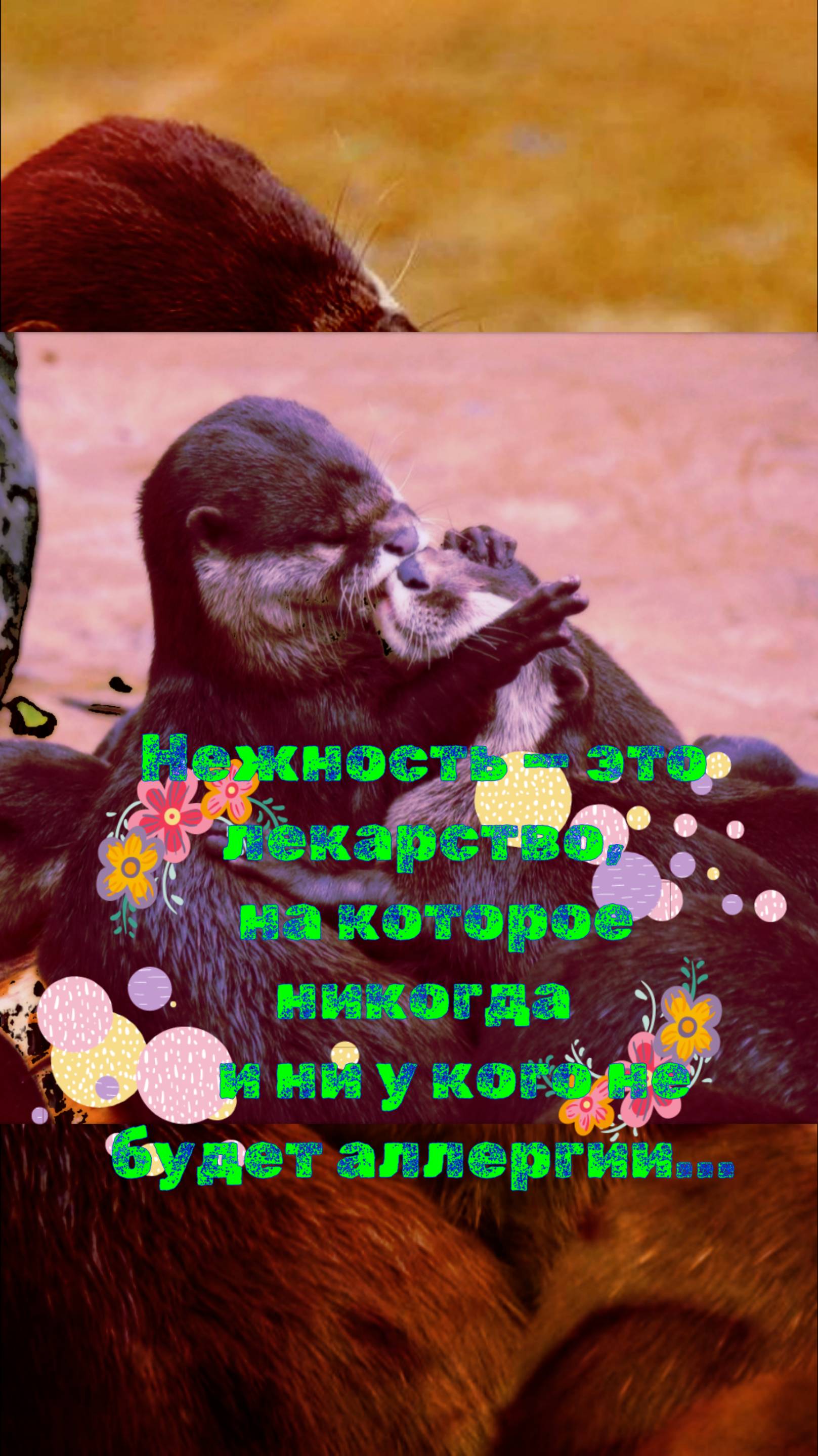 НЕЖНОСТЬ