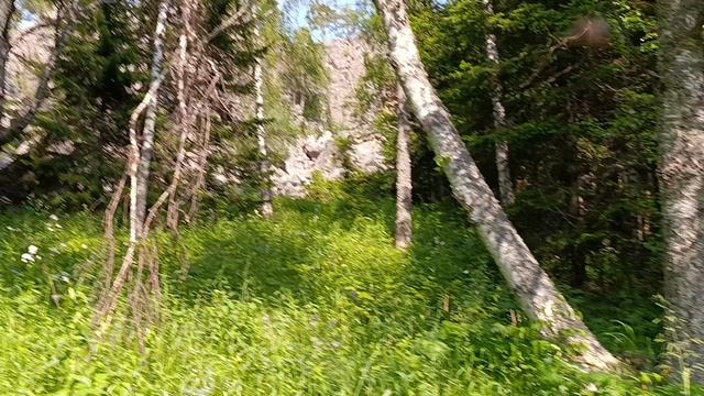 21. Гора 1 Малиновка (914 метров). Хребет Малидак. 7 июня 2025 года.