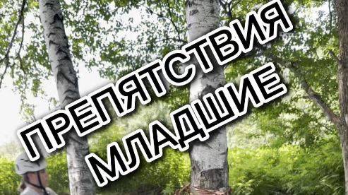 Препятствия младшие