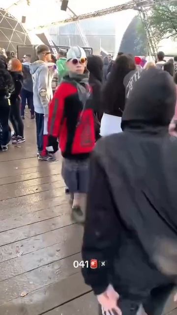 Голуби также, когда в парке кинул им хлеб .