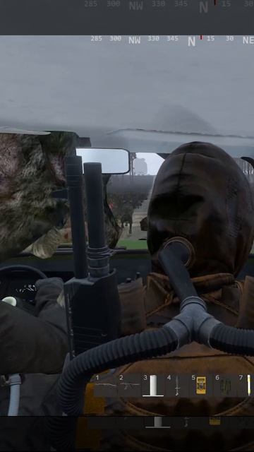 Сталкерская КОТОпульта #stalker #игры #video #сталкер #dayz #car #cats #funny #gaming #dayzrp #дейз