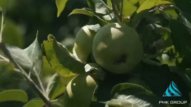 ТОПОГРАФИЧЕСКАЯ СЪЁМКА КРАСНОДАРСКИЙ КРАЙ