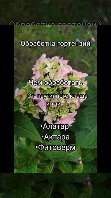 1000062154.mp4