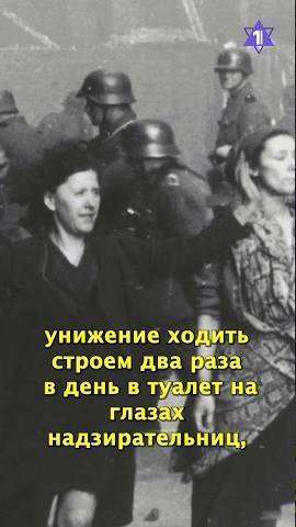 Как Ирена Сендлер спасала еврейских детей