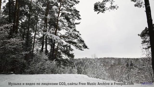 Видео, которое можно смотреть только в состоянии невесомости - испытайте! - Rebel -- Mise Darling --