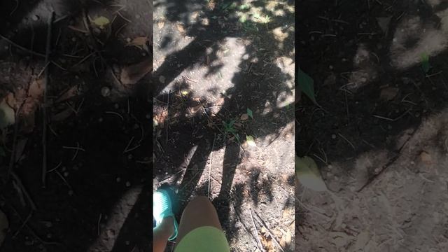 VID_20250620_154228.mp4
